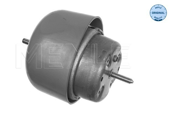 MEYLE Lagerung, Motor