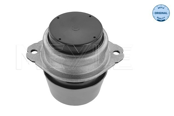 MEYLE Lagerung, Motor