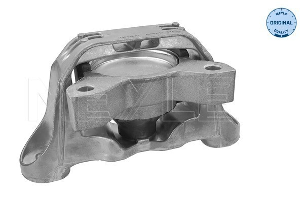 MEYLE Lagerung, Motor