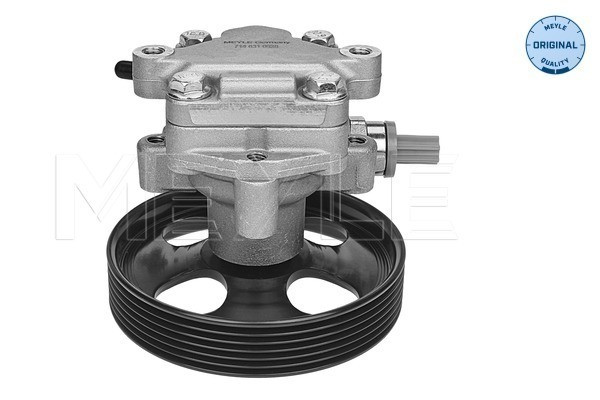 MEYLE Hydraulikpumpe, Lenkung