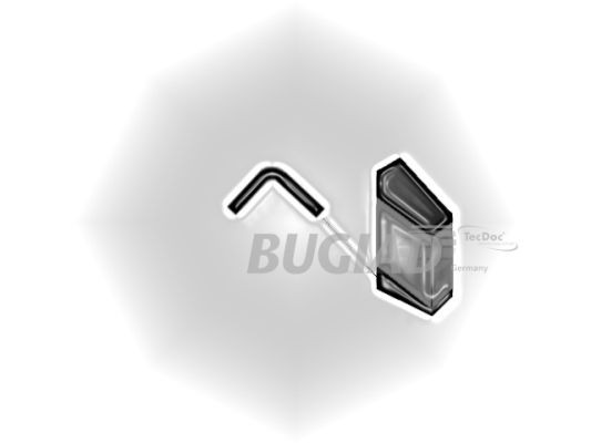 BUGIAD Ladeluftschlauch