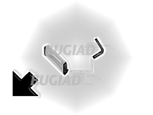 BUGIAD Ladeluftschlauch