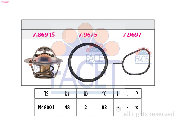 FACET Thermostat, Kühlmittel
