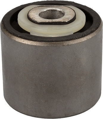 TRW Lagerung, Lenker