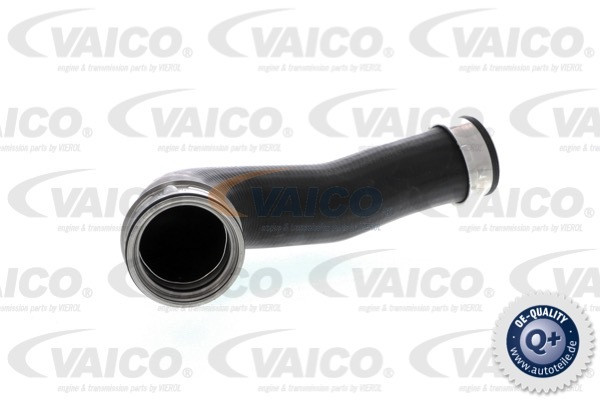 VAICO Ladeluftschlauch