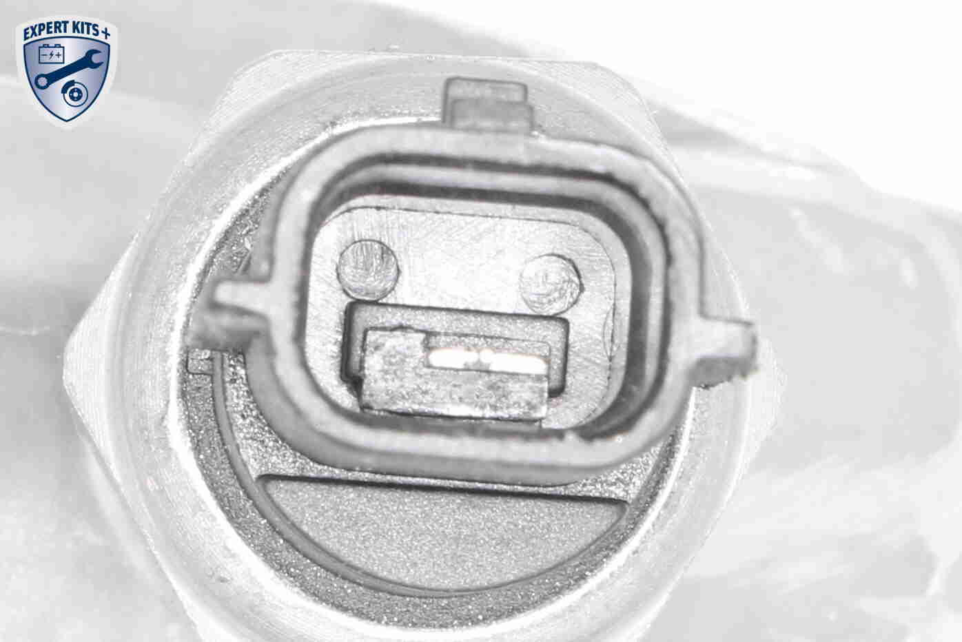 VEMO Ölkühler, Motoröl