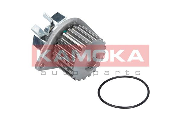 KAMOKA Wasserpumpe KAMOKA Wasserpumpe