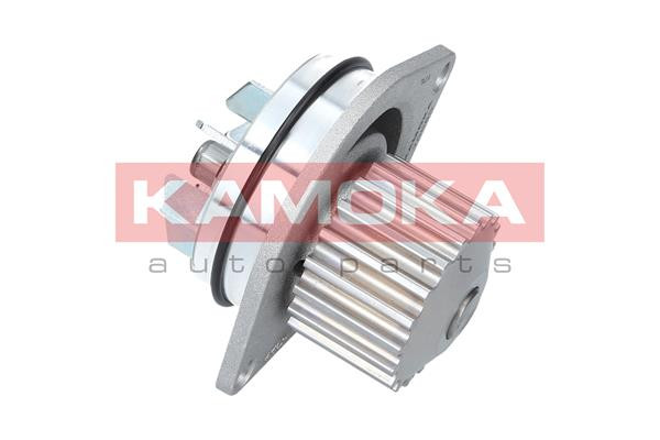 KAMOKA Wasserpumpe