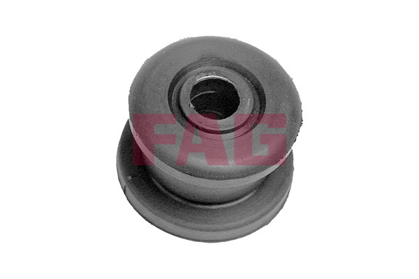 Schaeffler FAG Lagerung, Lenker