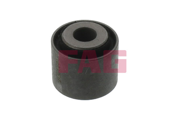 Schaeffler FAG Lagerung, Lenker