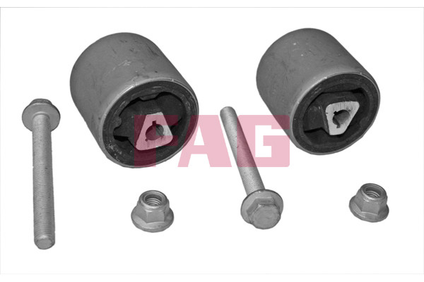 Schaeffler FAG Lagerung, Lenker