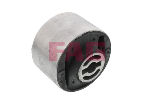 Schaeffler FAG Lagerung, Lenker