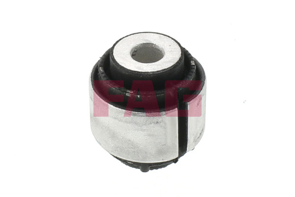 Schaeffler FAG Lagerung, Achskörper