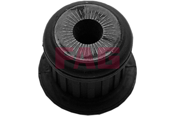 Schaeffler FAG Lagerung, Achsträger