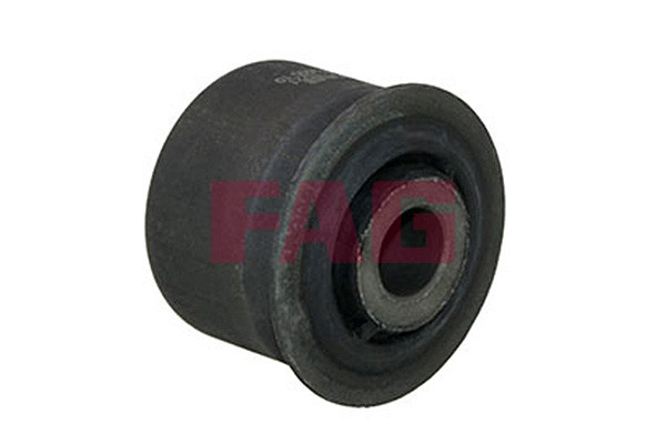 Schaeffler FAG Lagerung, Lenker