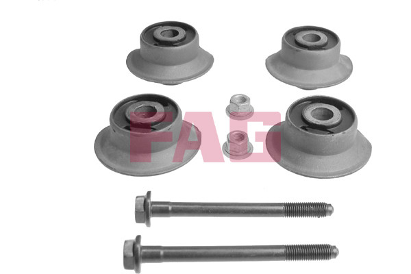 Schaeffler FAG Reparatursatz, Achskörper