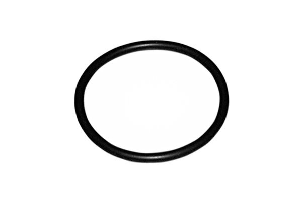 TRUCKTEC AUTOMOTIVE Dichtung, Thermostat