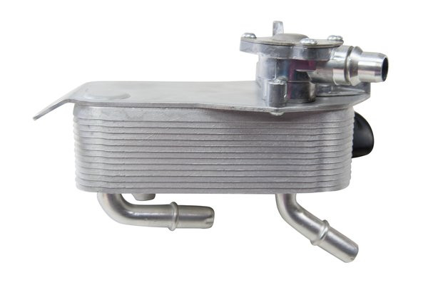 TRUCKTEC AUTOMOTIVE Ölkühler, Automatikgetriebe