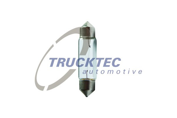 TRUCKTEC AUTOMOTIVE Glühlampe, Kennzeichenleuchte