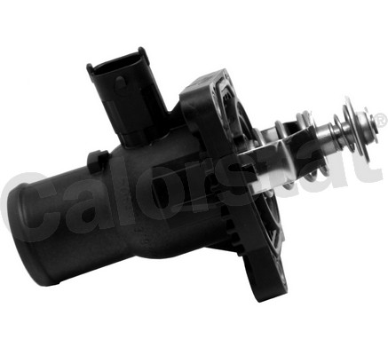 CALORSTAT by Vernet Thermostat, Kühlmittel