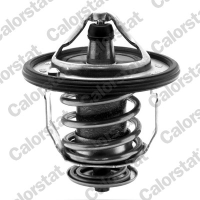 CALORSTAT by Vernet Thermostat, Kühlmittel CALORSTAT by Vernet Thermostat, Kühlmittel
