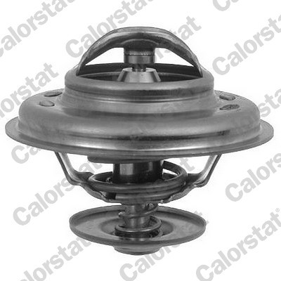 CALORSTAT by Vernet Thermostat, Kühlmittel