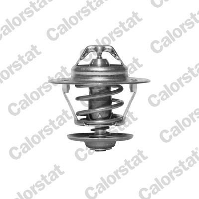 CALORSTAT by Vernet Thermostat, Kühlmittel
