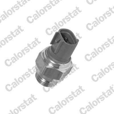 CALORSTAT by Vernet Temperaturschalter, Kühlerlüfter