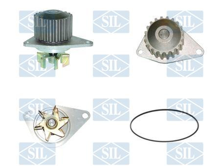 Saleri SIL Wasserpumpe, Motorkühlung