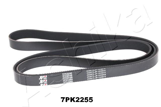 ASHIKA Keilrippenriemen