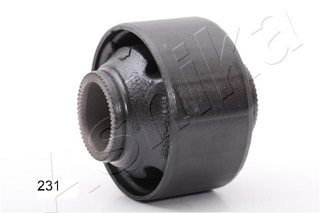 ASHIKA Lagerung, Lenker