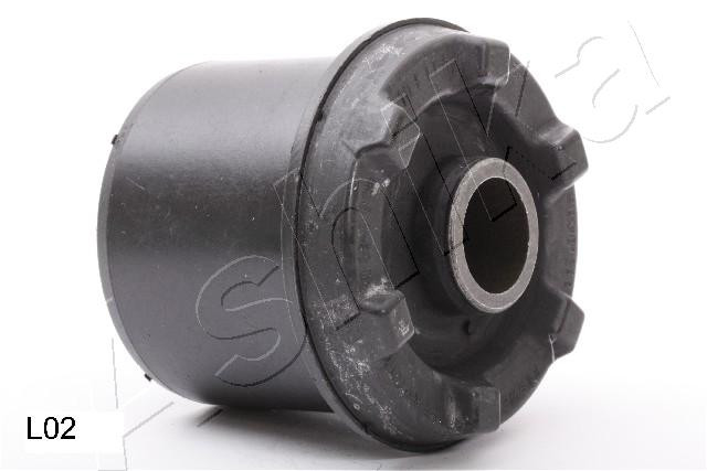 ASHIKA Lagerung, Lenker