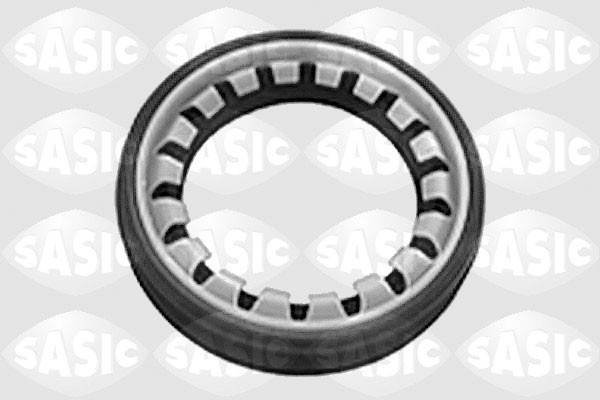 SASIC Wellendichtring, Differential