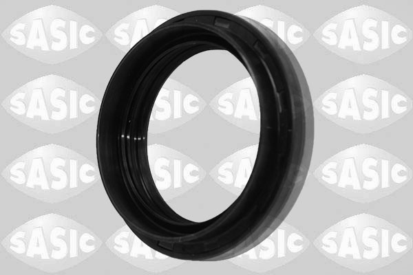 SASIC Wellendichtring, Differential