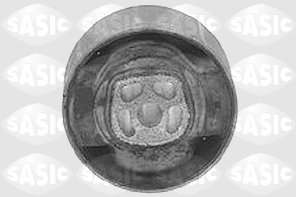 SASIC Lagerung, Motor