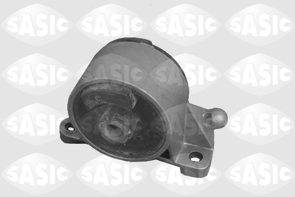 SASIC Lagerung, Motor