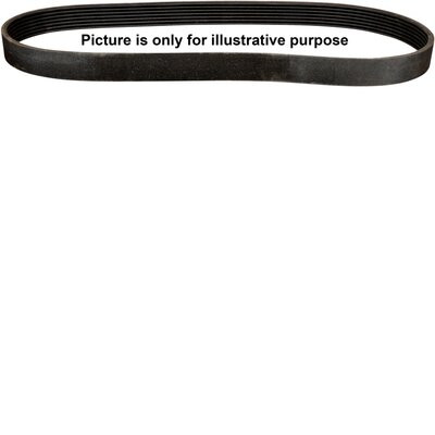 JP GROUP Keilrippenriemen