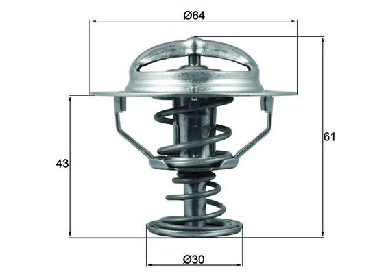 MAHLE Thermostat, Kühlmittel
