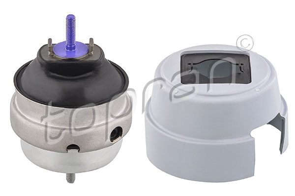 TOPRAN Lagerung, Motor