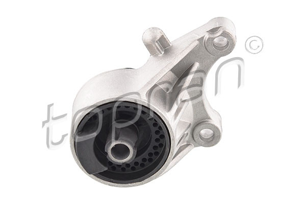 TOPRAN Lagerung, Motor