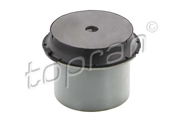 TOPRAN Lagerung, Achskörper