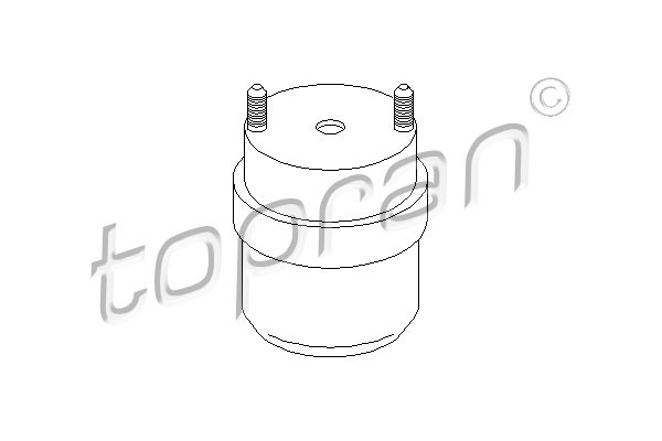 TOPRAN Lagerung, Motor