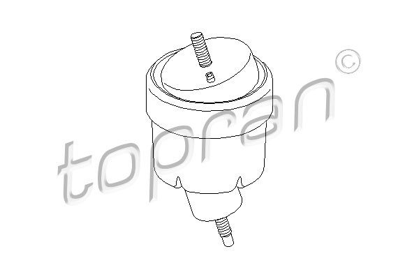 TOPRAN Lagerung, Motor