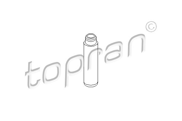 TOPRAN Ventilführung