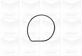 GRAF Wasserpumpe GRAF Wasserpumpe