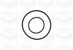 GRAF Wasserpumpe, Motorkühlung