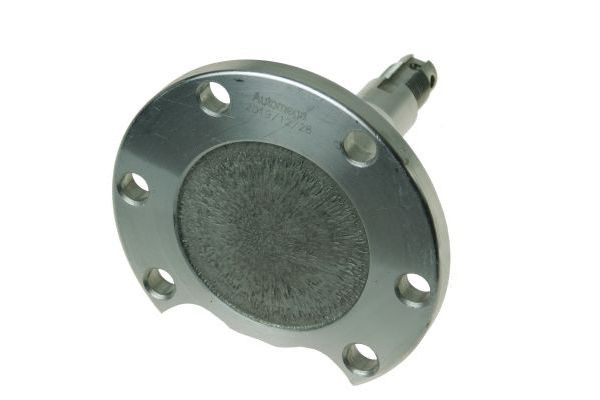 AUTOMEGA Achszapfen, Achskörper