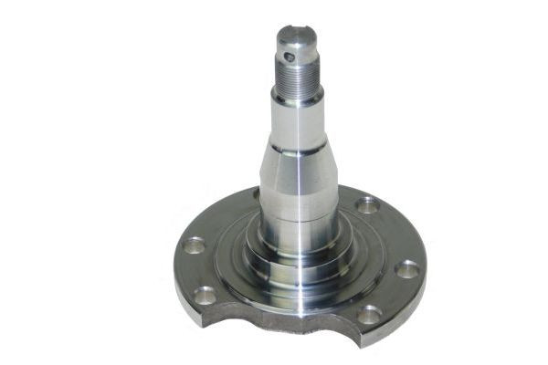 AUTOMEGA Achszapfen, Achskörper