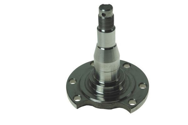 AUTOMEGA Achszapfen, Achskörper