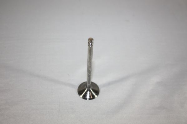 AUTOMEGA Einlassventil